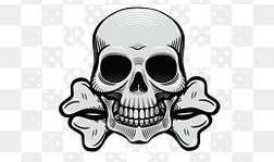 骷髅动漫,探寻生死轮回的神秘世界